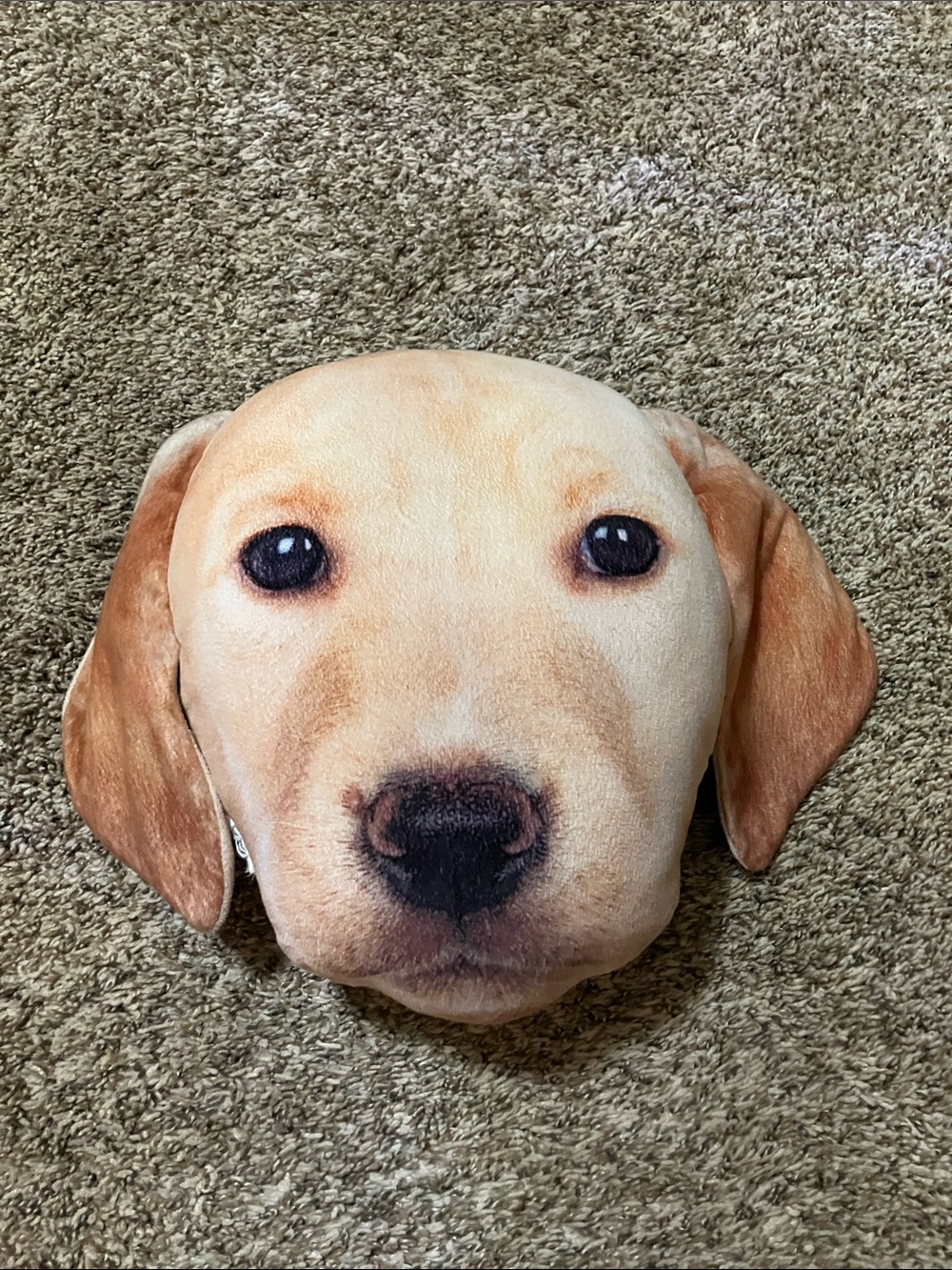 Kohl's Tan and Brown Labrador Dog Face Pillow